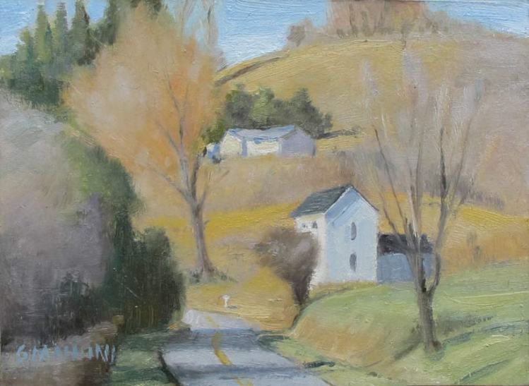 South Ammon Road, Near Mars Lake,N.C.