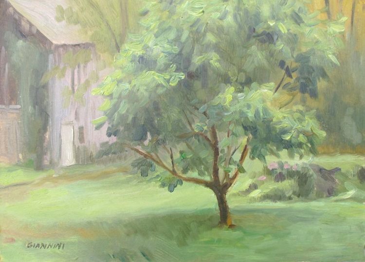 Ingrid's Tree, Massachusetts, oil, 7x10 in.