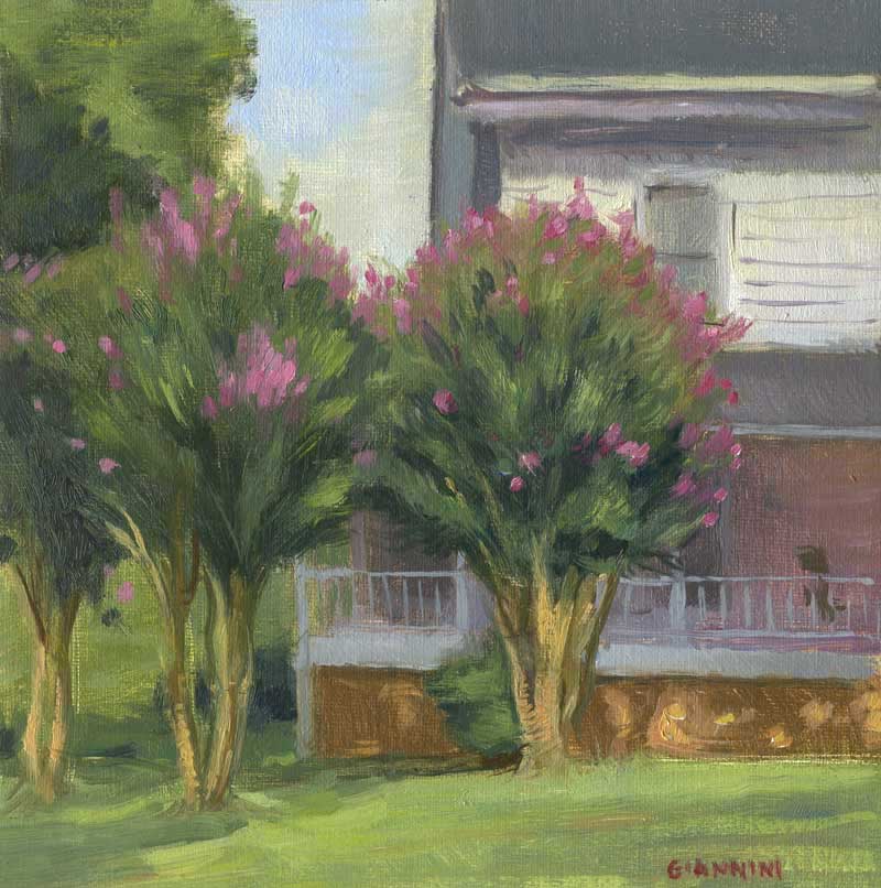 Flowering Trees, Tryon, 6 x 6 in., oil on linen