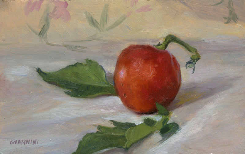 Home Grown Tomato, 5 x 8 in., oil on linen