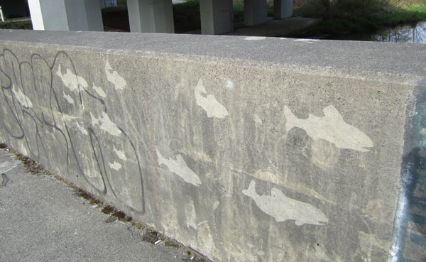 reversegraffiti_fish_web