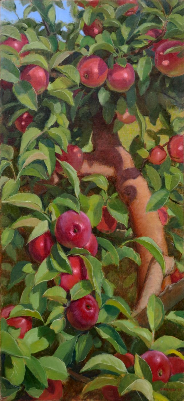 Hope Orchards 14x20,oil 2017 SGiannini