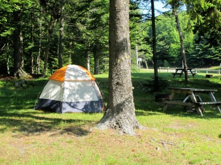 My campsite at Herring Cove.
